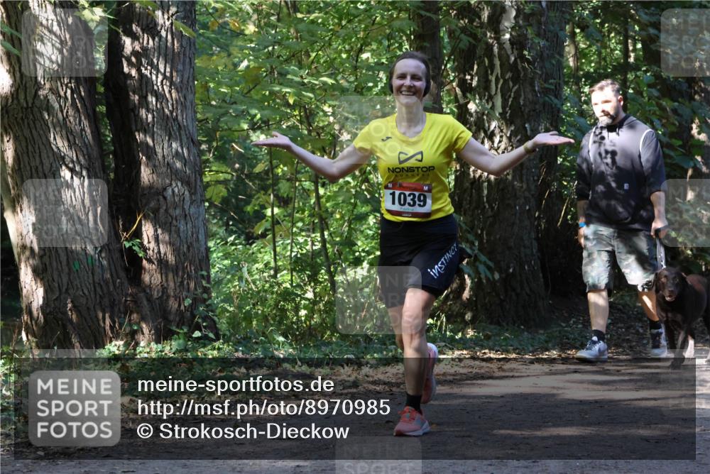 28.09.2025 - 33. Volkslauf durch das schöne Alstertal Strokosch-Dieckow http://msf.ph/oto/8970985 28.09.2025 12:04:28 Laufen 1039 meine-sportfotos.de