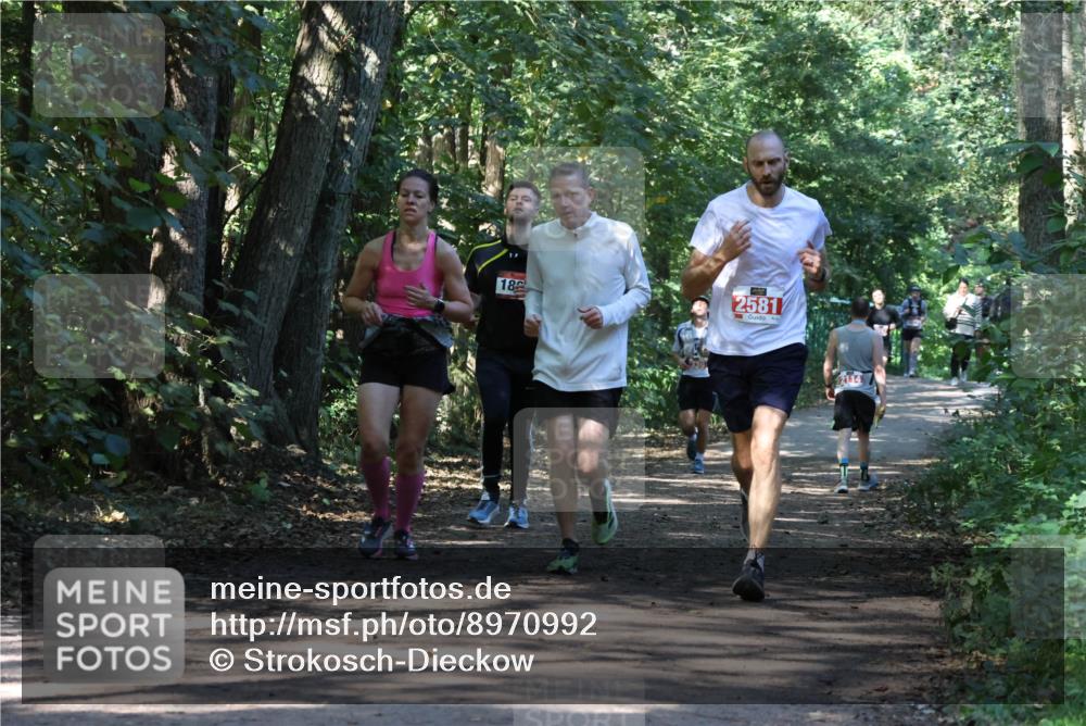 28.09.2025 - 33. Volkslauf durch das schöne Alstertal Strokosch-Dieckow http://msf.ph/oto/8970992 28.09.2025 12:04:37 Laufen 18, 2581, 2114 meine-sportfotos.de