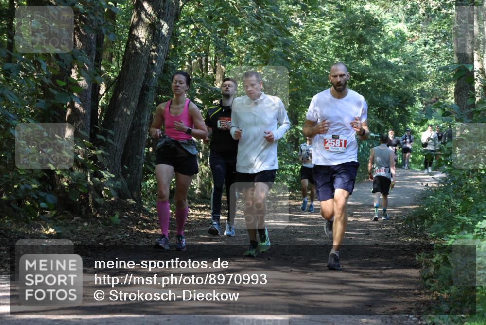 28.09.2025 - 33. Volkslauf durch das schöne Alstertal Strokosch-Dieckow http://msf.ph/oto/8970993 28.09.2025 12:04:37 Laufen 2581, 3, 2114 meine-sportfotos.de