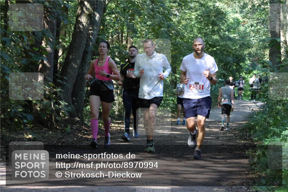 28.09.2025 - 33. Volkslauf durch das schöne Alstertal Strokosch-Dieckow http://msf.ph/oto/8970994 28.09.2025 12:04:37 Laufen 130, 2581 meine-sportfotos.de