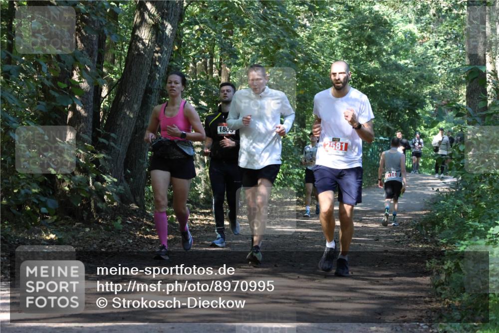 28.09.2025 - 33. Volkslauf durch das schöne Alstertal Strokosch-Dieckow http://msf.ph/oto/8970995 28.09.2025 12:04:37 Laufen 1805, 2581, 2114 meine-sportfotos.de