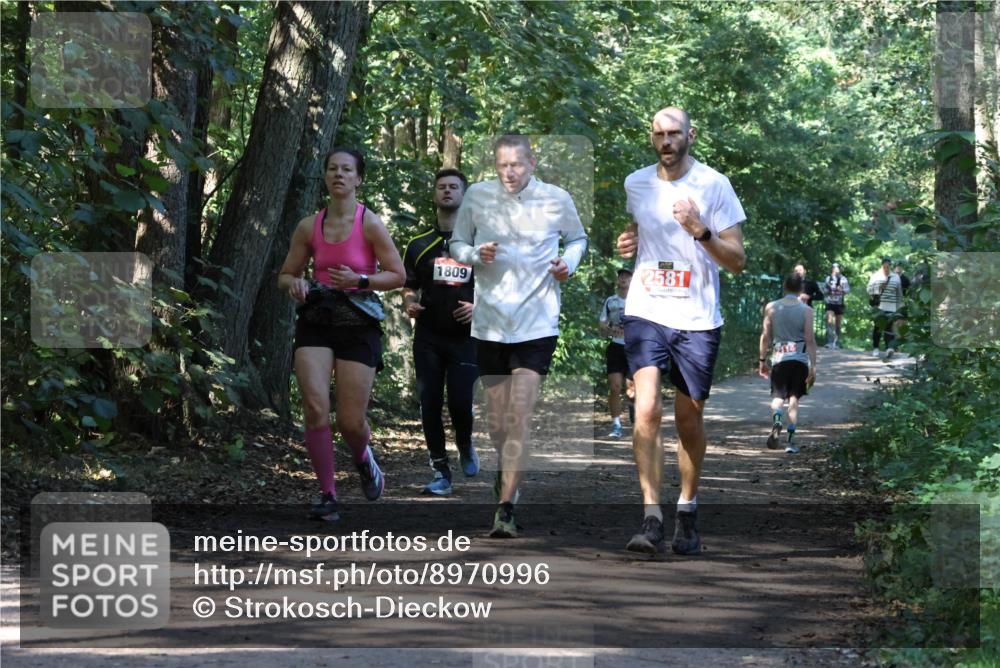 28.09.2025 - 33. Volkslauf durch das schöne Alstertal Strokosch-Dieckow http://msf.ph/oto/8970996 28.09.2025 12:04:37 Laufen 1809, 2581 meine-sportfotos.de