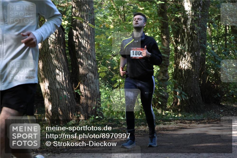 28.09.2025 - 33. Volkslauf durch das schöne Alstertal Strokosch-Dieckow http://msf.ph/oto/8970997 28.09.2025 12:04:42 Laufen 180 meine-sportfotos.de