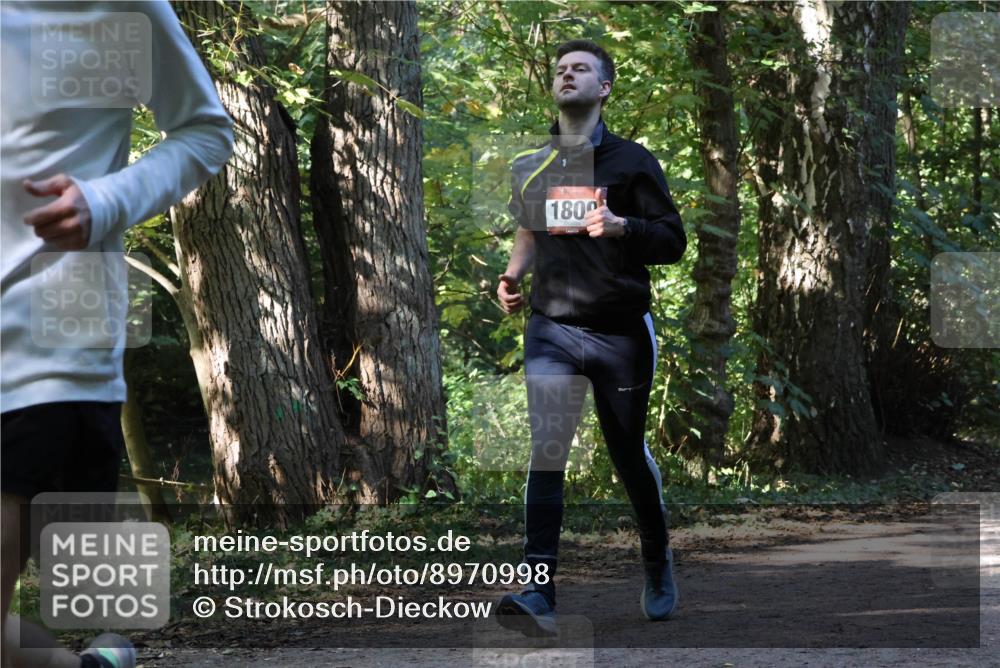 28.09.2025 - 33. Volkslauf durch das schöne Alstertal Strokosch-Dieckow http://msf.ph/oto/8970998 28.09.2025 12:04:42 Laufen 1800 meine-sportfotos.de