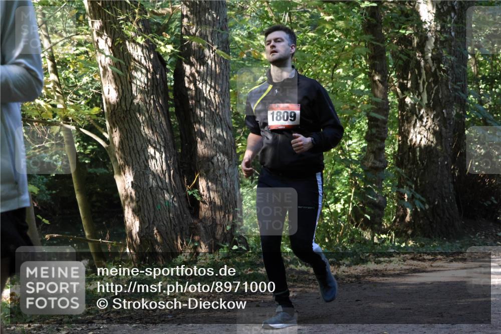 28.09.2025 - 33. Volkslauf durch das schöne Alstertal Strokosch-Dieckow http://msf.ph/oto/8971000 28.09.2025 12:04:42 Laufen 1809 meine-sportfotos.de
