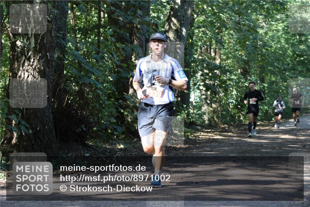 28.09.2025 - 33. Volkslauf durch das schöne Alstertal Strokosch-Dieckow http://msf.ph/oto/8971002 28.09.2025 12:04:46 Laufen 339 meine-sportfotos.de