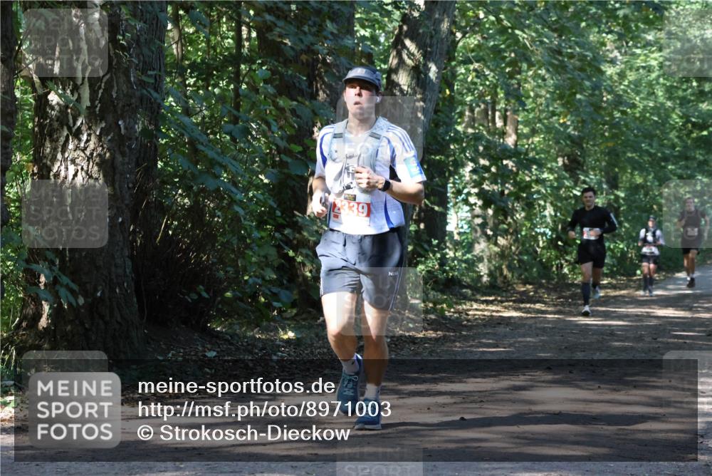 28.09.2025 - 33. Volkslauf durch das schöne Alstertal Strokosch-Dieckow http://msf.ph/oto/8971003 28.09.2025 12:04:46 Laufen 2339 meine-sportfotos.de