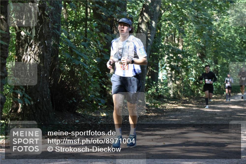 28.09.2025 - 33. Volkslauf durch das schöne Alstertal Strokosch-Dieckow http://msf.ph/oto/8971004 28.09.2025 12:04:46 Laufen 39 meine-sportfotos.de