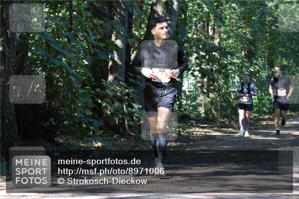 28.09.2025 - 33. Volkslauf durch das schöne Alstertal Strokosch-Dieckow http://msf.ph/oto/8971006 28.09.2025 12:04:52 Laufen 2647, 1036 meine-sportfotos.de