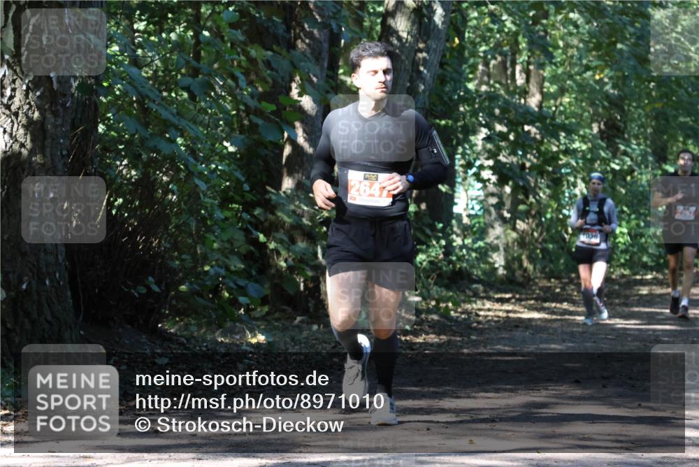 28.09.2025 - 33. Volkslauf durch das schöne Alstertal Strokosch-Dieckow http://msf.ph/oto/8971010 28.09.2025 12:04:52 Laufen 2641, 1036 meine-sportfotos.de