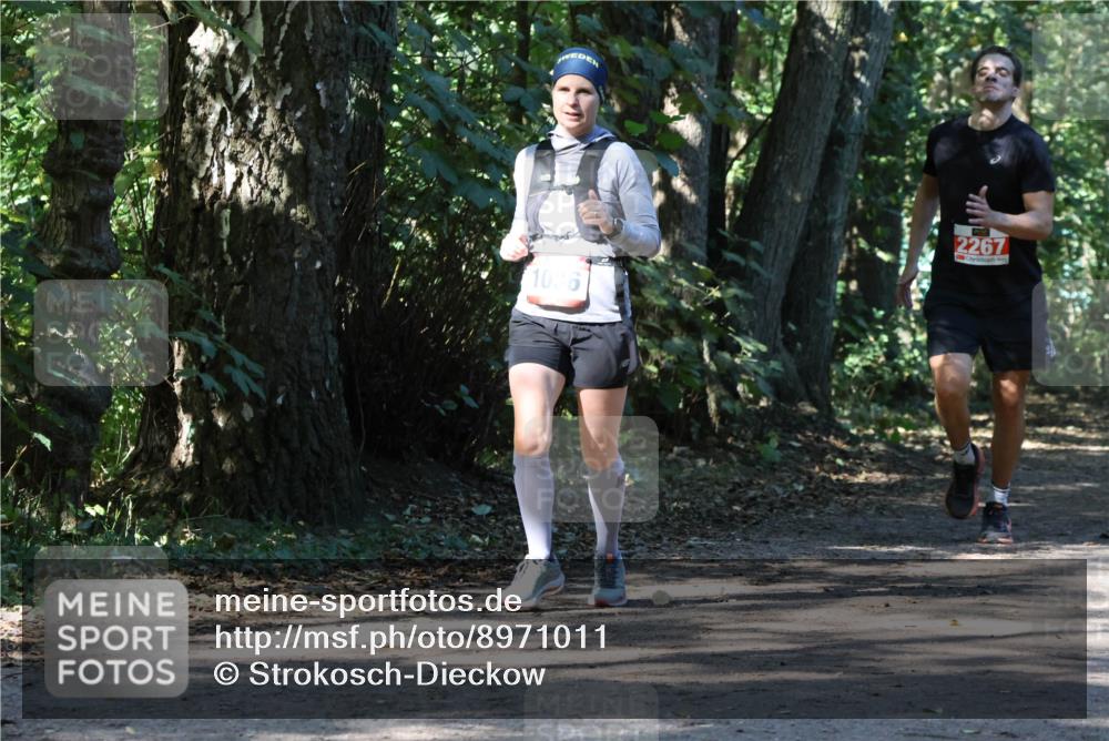 28.09.2025 - 33. Volkslauf durch das schöne Alstertal Strokosch-Dieckow http://msf.ph/oto/8971011 28.09.2025 12:04:58 Laufen 1036, 2267 meine-sportfotos.de