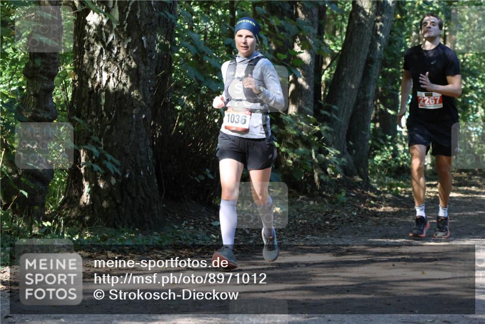 28.09.2025 - 33. Volkslauf durch das schöne Alstertal Strokosch-Dieckow http://msf.ph/oto/8971012 28.09.2025 12:04:58 Laufen 1036, 2267 meine-sportfotos.de