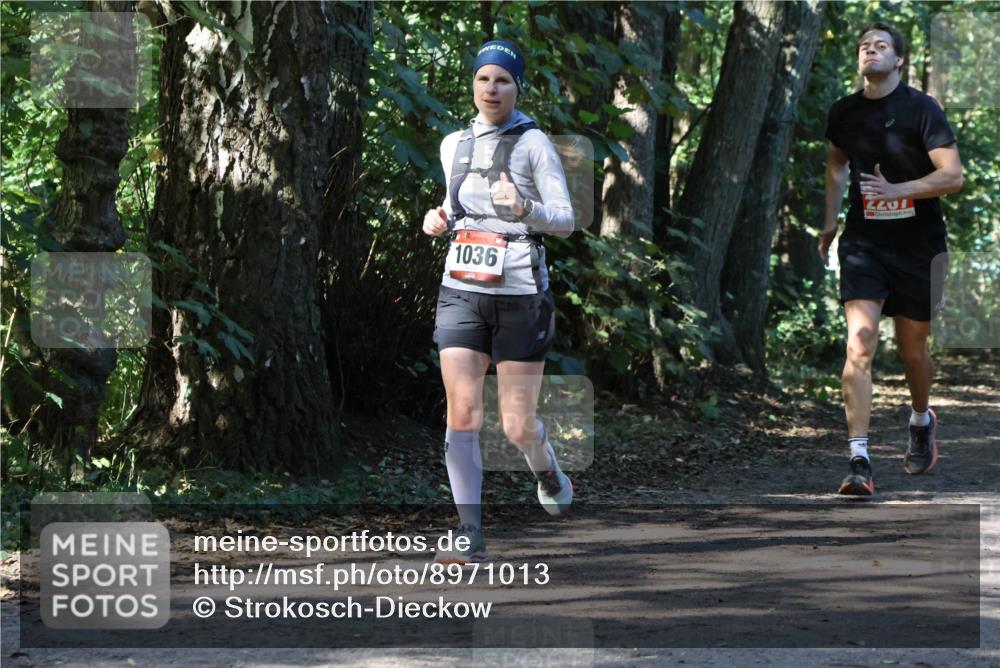 28.09.2025 - 33. Volkslauf durch das schöne Alstertal Strokosch-Dieckow http://msf.ph/oto/8971013 28.09.2025 12:04:59 Laufen 1036, 2201 meine-sportfotos.de