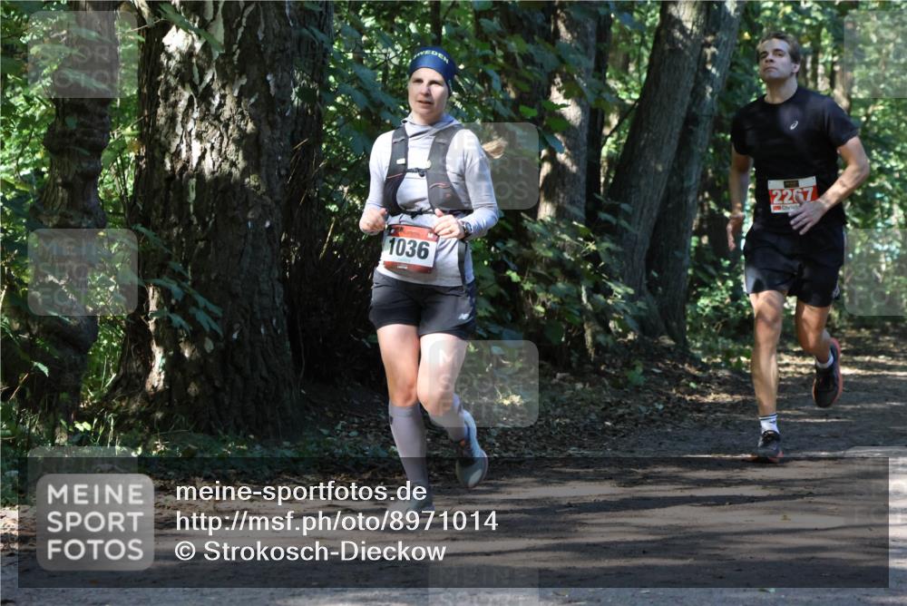 28.09.2025 - 33. Volkslauf durch das schöne Alstertal Strokosch-Dieckow http://msf.ph/oto/8971014 28.09.2025 12:04:59 Laufen 1036, 2267 meine-sportfotos.de