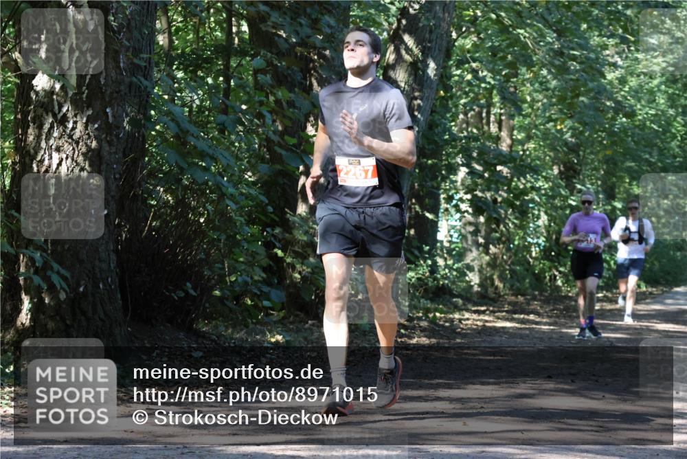 28.09.2025 - 33. Volkslauf durch das schöne Alstertal Strokosch-Dieckow http://msf.ph/oto/8971015 28.09.2025 12:05:00 Laufen 2267 meine-sportfotos.de