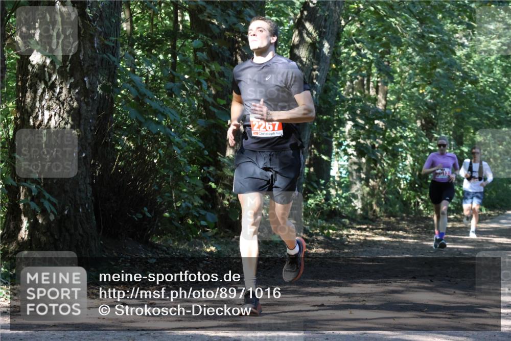 28.09.2025 - 33. Volkslauf durch das schöne Alstertal Strokosch-Dieckow http://msf.ph/oto/8971016 28.09.2025 12:05:00 Laufen 2267 meine-sportfotos.de