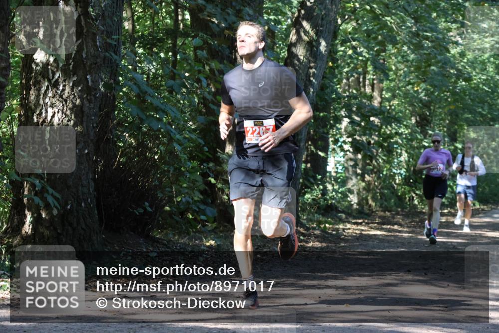 28.09.2025 - 33. Volkslauf durch das schöne Alstertal Strokosch-Dieckow http://msf.ph/oto/8971017 28.09.2025 12:05:00 Laufen 2267 meine-sportfotos.de