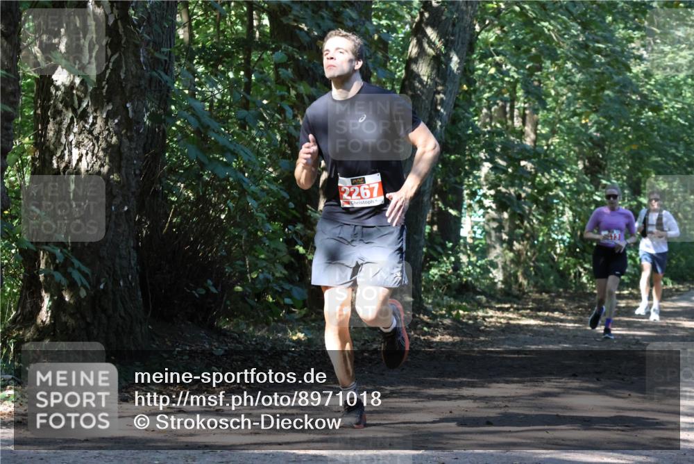 28.09.2025 - 33. Volkslauf durch das schöne Alstertal Strokosch-Dieckow http://msf.ph/oto/8971018 28.09.2025 12:05:00 Laufen 2267 meine-sportfotos.de