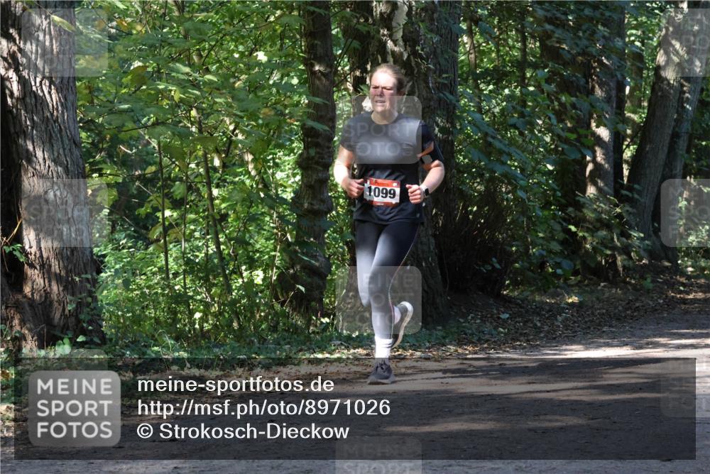 28.09.2025 - 33. Volkslauf durch das schöne Alstertal Strokosch-Dieckow http://msf.ph/oto/8971026 28.09.2025 12:05:26 Laufen 1099 meine-sportfotos.de