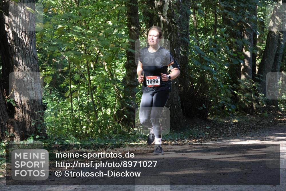 28.09.2025 - 33. Volkslauf durch das schöne Alstertal Strokosch-Dieckow http://msf.ph/oto/8971027 28.09.2025 12:05:26 Laufen 1099 meine-sportfotos.de