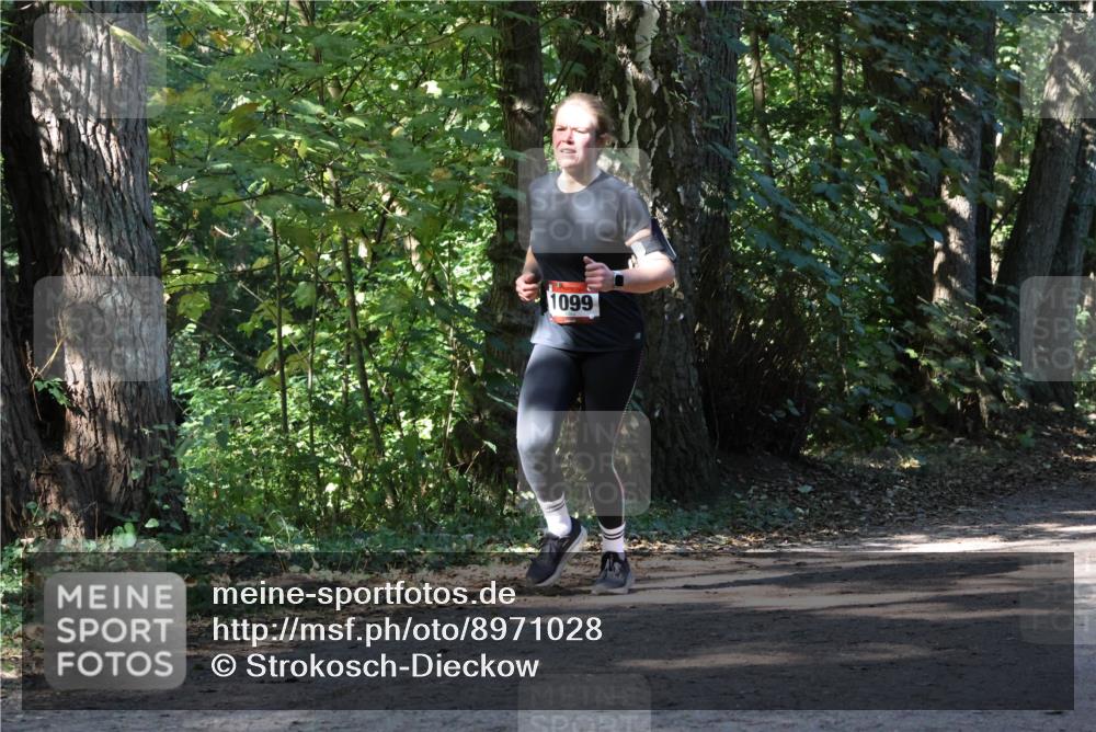 28.09.2025 - 33. Volkslauf durch das schöne Alstertal Strokosch-Dieckow http://msf.ph/oto/8971028 28.09.2025 12:05:26 Laufen 1099 meine-sportfotos.de