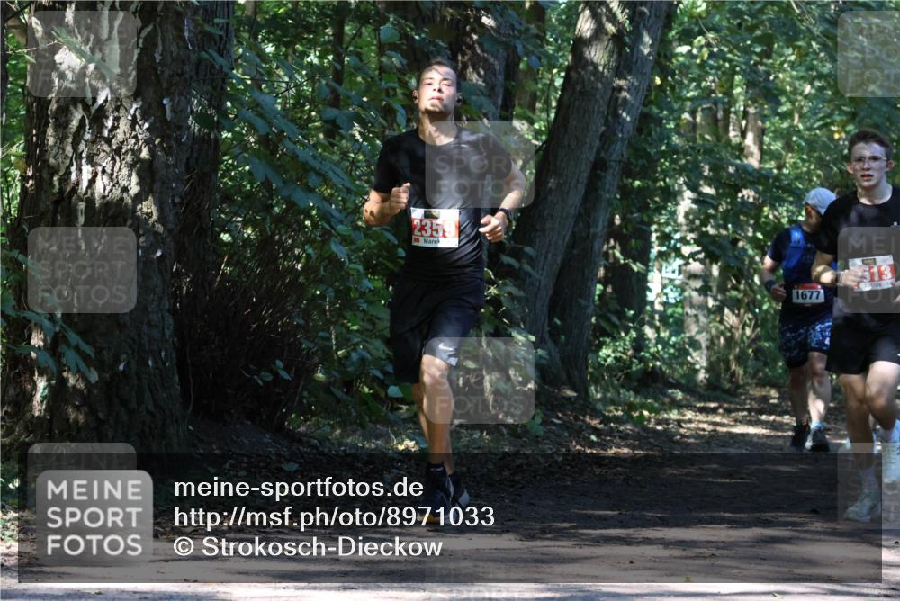 28.09.2025 - 33. Volkslauf durch das schöne Alstertal Strokosch-Dieckow http://msf.ph/oto/8971033 28.09.2025 12:05:33 Laufen 2359, 1677, 513 meine-sportfotos.de