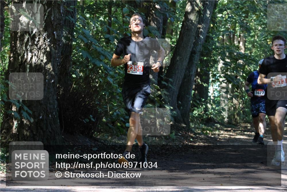 28.09.2025 - 33. Volkslauf durch das schöne Alstertal Strokosch-Dieckow http://msf.ph/oto/8971034 28.09.2025 12:05:33 Laufen 2359, 1677, 2013 meine-sportfotos.de