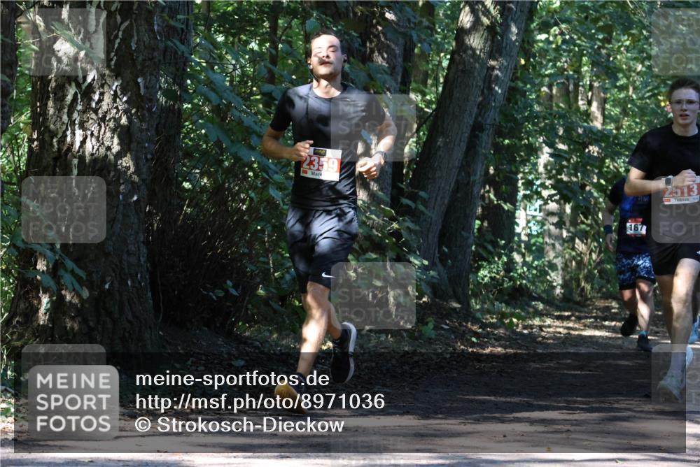 28.09.2025 - 33. Volkslauf durch das schöne Alstertal Strokosch-Dieckow http://msf.ph/oto/8971036 28.09.2025 12:05:33 Laufen 2359, 167, 2513 meine-sportfotos.de