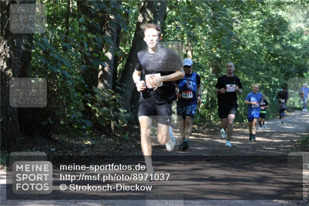 28.09.2025 - 33. Volkslauf durch das schöne Alstertal Strokosch-Dieckow http://msf.ph/oto/8971037 28.09.2025 12:05:35 Laufen 1677, 2062 meine-sportfotos.de