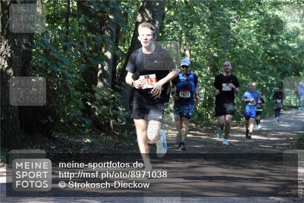 28.09.2025 - 33. Volkslauf durch das schöne Alstertal Strokosch-Dieckow http://msf.ph/oto/8971038 28.09.2025 12:05:35 Laufen 2513, 1677, 206 meine-sportfotos.de