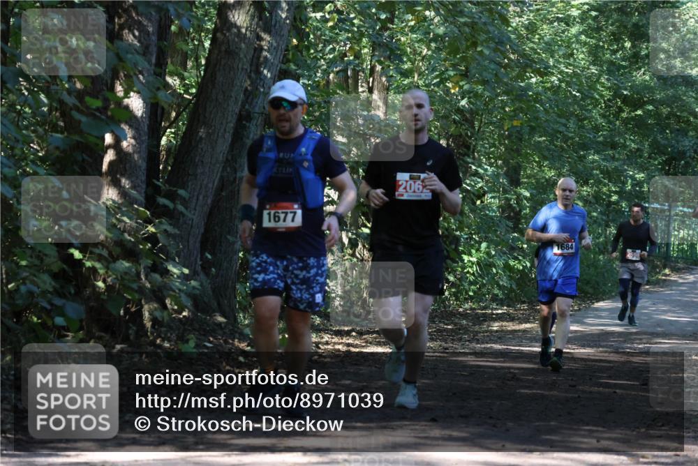 28.09.2025 - 33. Volkslauf durch das schöne Alstertal Strokosch-Dieckow http://msf.ph/oto/8971039 28.09.2025 12:05:36 Laufen 1677, 2062, 1684 meine-sportfotos.de