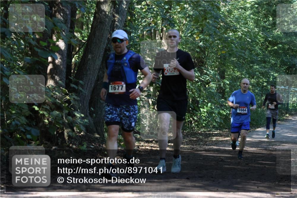28.09.2025 - 33. Volkslauf durch das schöne Alstertal Strokosch-Dieckow http://msf.ph/oto/8971041 28.09.2025 12:05:36 Laufen 1677, 206, 1684, 2598 meine-sportfotos.de