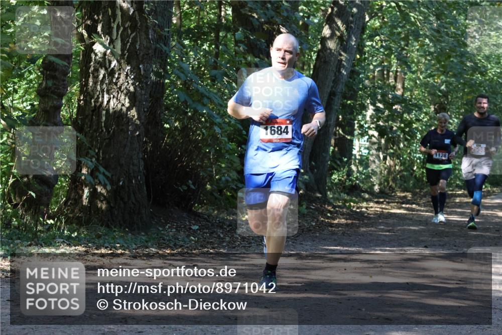 28.09.2025 - 33. Volkslauf durch das schöne Alstertal Strokosch-Dieckow http://msf.ph/oto/8971042 28.09.2025 12:05:44 Laufen 1684, 1128, 2598 meine-sportfotos.de