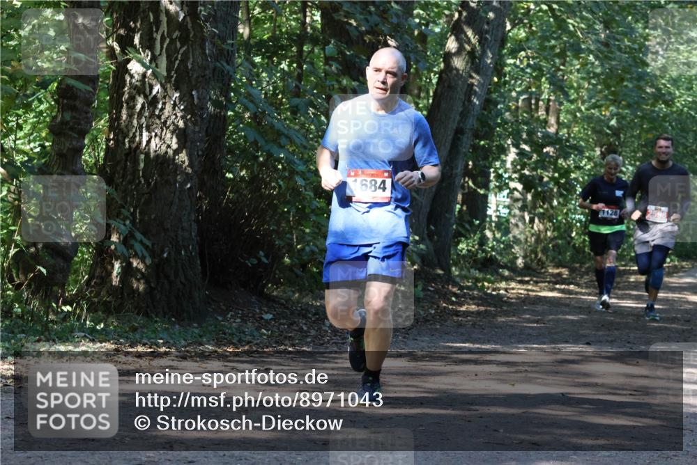 28.09.2025 - 33. Volkslauf durch das schöne Alstertal Strokosch-Dieckow http://msf.ph/oto/8971043 28.09.2025 12:05:44 Laufen 684, 1128 meine-sportfotos.de