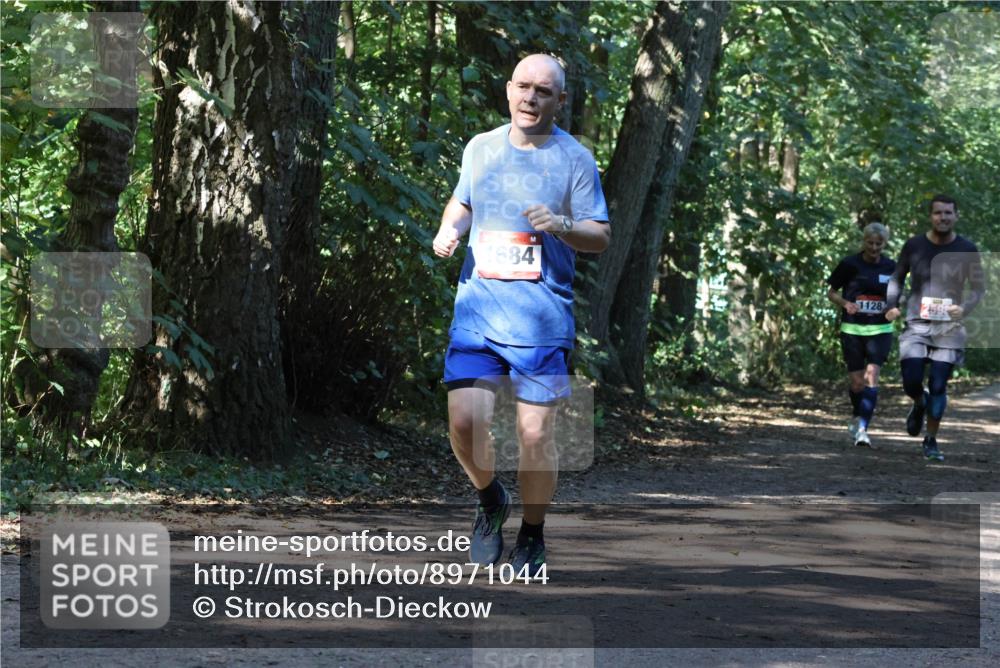 28.09.2025 - 33. Volkslauf durch das schöne Alstertal Strokosch-Dieckow http://msf.ph/oto/8971044 28.09.2025 12:05:44 Laufen 1684, 1128, 2598 meine-sportfotos.de