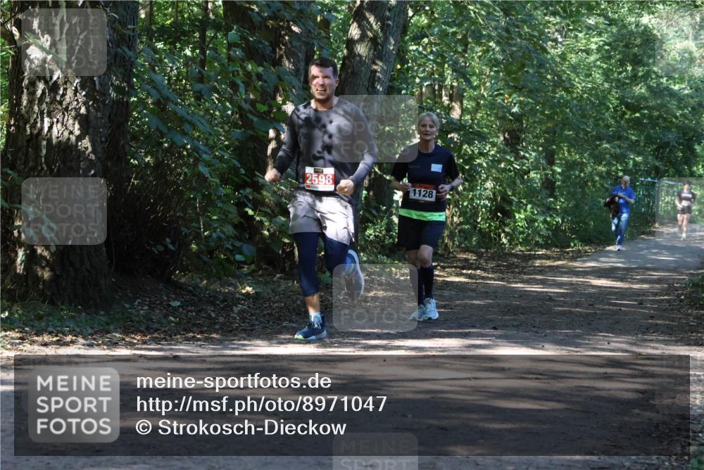 28.09.2025 - 33. Volkslauf durch das schöne Alstertal Strokosch-Dieckow http://msf.ph/oto/8971047 28.09.2025 12:05:47 Laufen 2598, 1128 meine-sportfotos.de