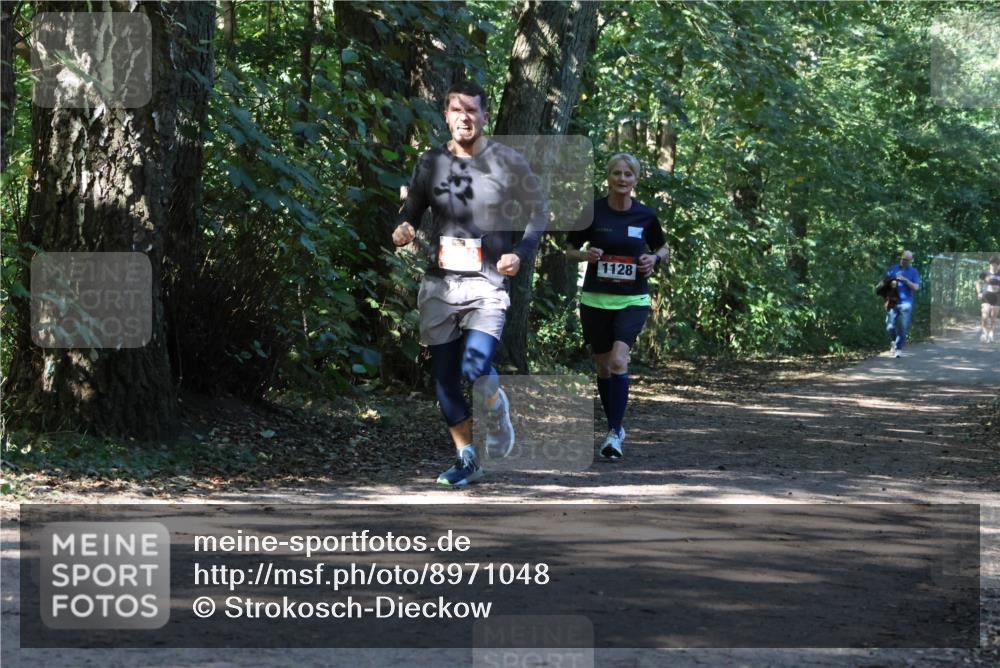28.09.2025 - 33. Volkslauf durch das schöne Alstertal Strokosch-Dieckow http://msf.ph/oto/8971048 28.09.2025 12:05:47 Laufen 1128 meine-sportfotos.de