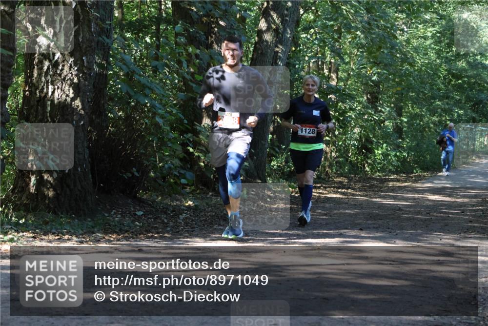 28.09.2025 - 33. Volkslauf durch das schöne Alstertal Strokosch-Dieckow http://msf.ph/oto/8971049 28.09.2025 12:05:47 Laufen 1128 meine-sportfotos.de