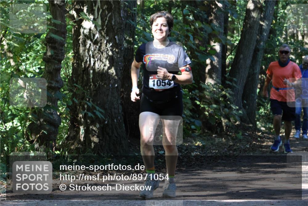 28.09.2025 - 33. Volkslauf durch das schöne Alstertal Strokosch-Dieckow http://msf.ph/oto/8971054 28.09.2025 12:06:06 Laufen 1054 meine-sportfotos.de