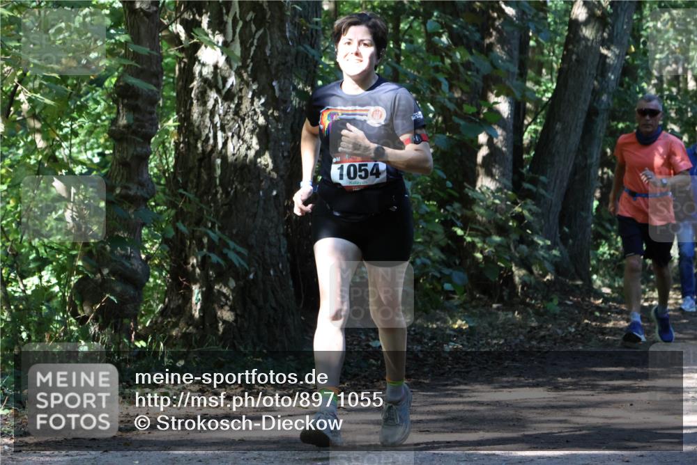 28.09.2025 - 33. Volkslauf durch das schöne Alstertal Strokosch-Dieckow http://msf.ph/oto/8971055 28.09.2025 12:06:06 Laufen 1054 meine-sportfotos.de