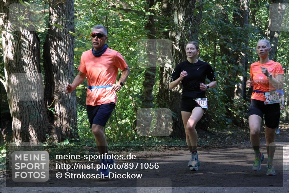 28.09.2025 - 33. Volkslauf durch das schöne Alstertal Strokosch-Dieckow http://msf.ph/oto/8971056 28.09.2025 12:06:10 Laufen 2086 meine-sportfotos.de