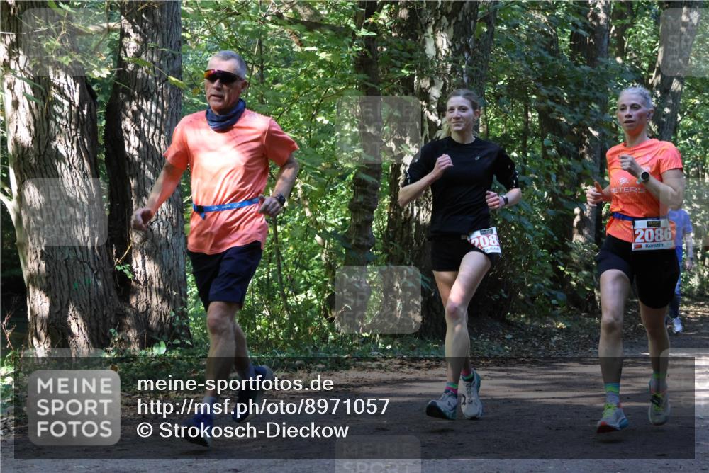 28.09.2025 - 33. Volkslauf durch das schöne Alstertal Strokosch-Dieckow http://msf.ph/oto/8971057 28.09.2025 12:06:10 Laufen 208, 2086 meine-sportfotos.de