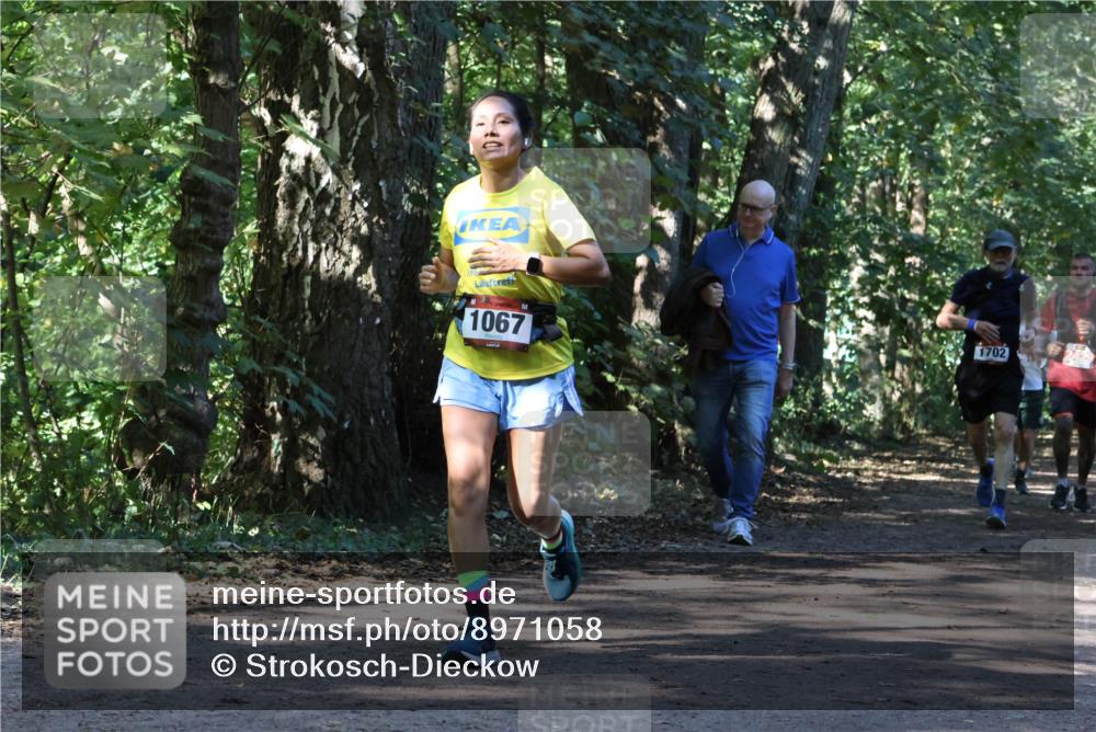 28.09.2025 - 33. Volkslauf durch das schöne Alstertal Strokosch-Dieckow http://msf.ph/oto/8971058 28.09.2025 12:06:12 Laufen 1067, 1702 meine-sportfotos.de