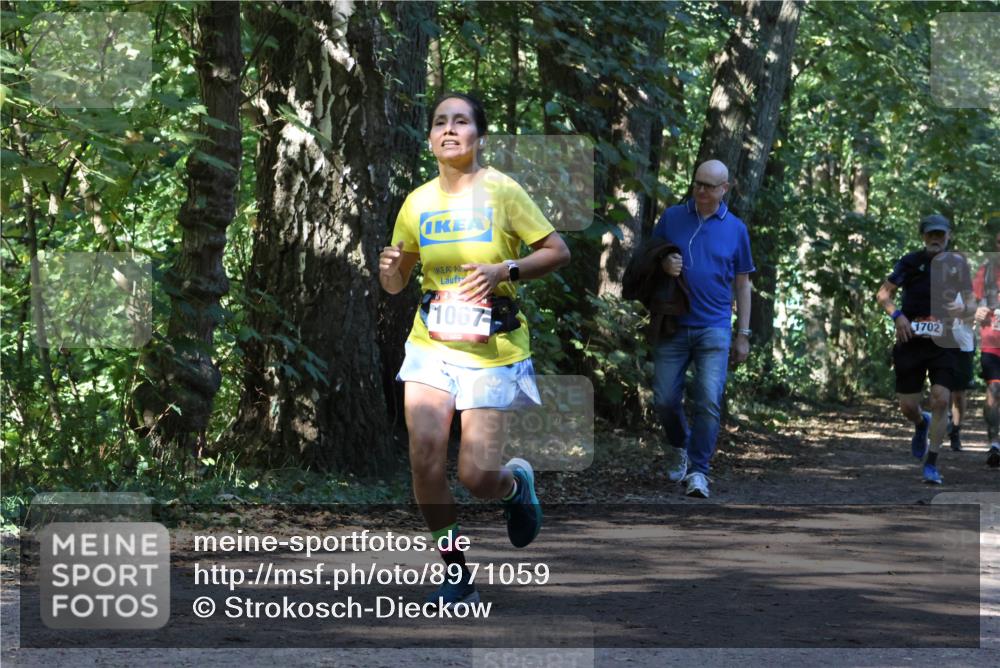 28.09.2025 - 33. Volkslauf durch das schöne Alstertal Strokosch-Dieckow http://msf.ph/oto/8971059 28.09.2025 12:06:12 Laufen 1067, 1702 meine-sportfotos.de