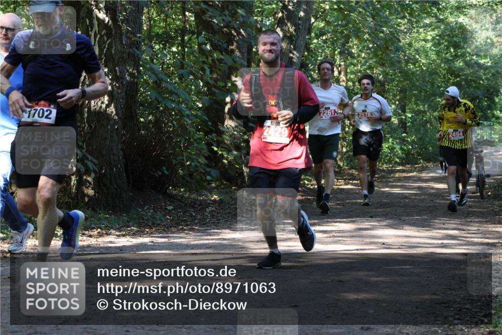 28.09.2025 - 33. Volkslauf durch das schöne Alstertal Strokosch-Dieckow http://msf.ph/oto/8971063 28.09.2025 12:06:17 Laufen 1702, 2261, 2578, 2429, 2494 meine-sportfotos.de