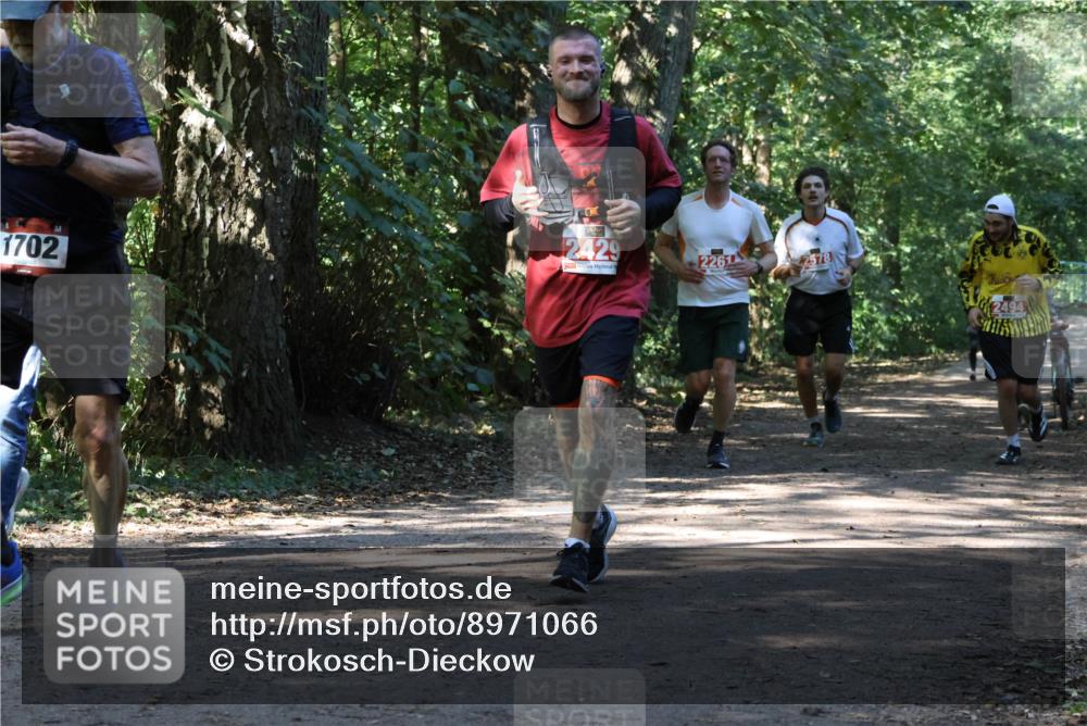 28.09.2025 - 33. Volkslauf durch das schöne Alstertal Strokosch-Dieckow http://msf.ph/oto/8971066 28.09.2025 12:06:17 Laufen 1702, 2429, 2261, 2578, 2494 meine-sportfotos.de