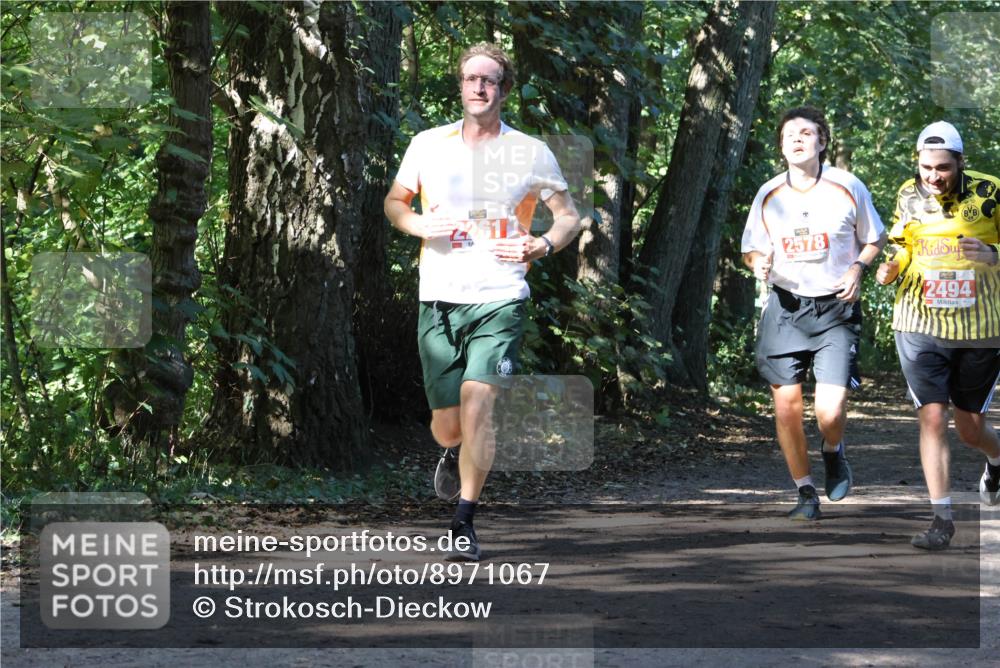 28.09.2025 - 33. Volkslauf durch das schöne Alstertal Strokosch-Dieckow http://msf.ph/oto/8971067 28.09.2025 12:06:19 Laufen 2578, 2494 meine-sportfotos.de