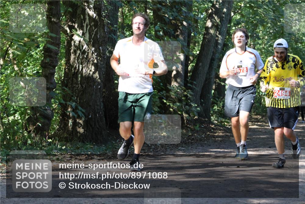 28.09.2025 - 33. Volkslauf durch das schöne Alstertal Strokosch-Dieckow http://msf.ph/oto/8971068 28.09.2025 12:06:19 Laufen 2578, 2494 meine-sportfotos.de