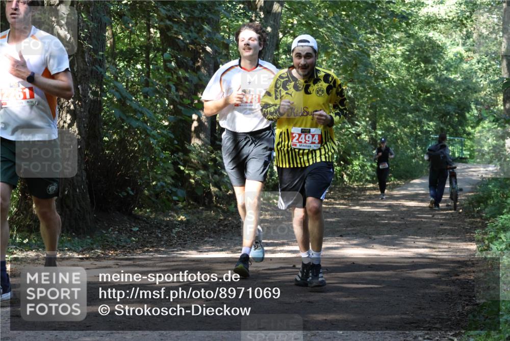 28.09.2025 - 33. Volkslauf durch das schöne Alstertal Strokosch-Dieckow http://msf.ph/oto/8971069 28.09.2025 12:06:20 Laufen 12261, 78, 2494 meine-sportfotos.de