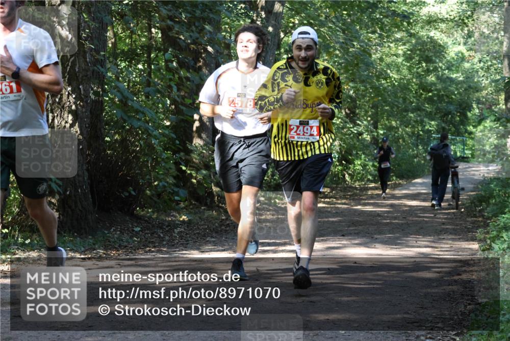 28.09.2025 - 33. Volkslauf durch das schöne Alstertal Strokosch-Dieckow http://msf.ph/oto/8971070 28.09.2025 12:06:20 Laufen 261, 2578, 55, 2494 meine-sportfotos.de